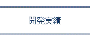 開発実績